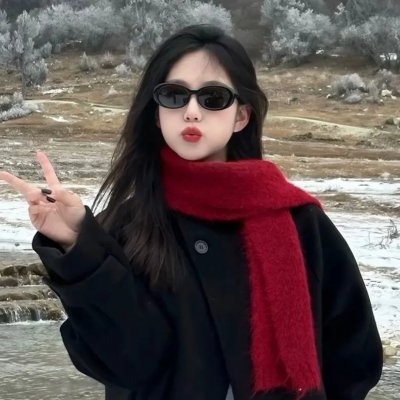 少女捜查网 海报